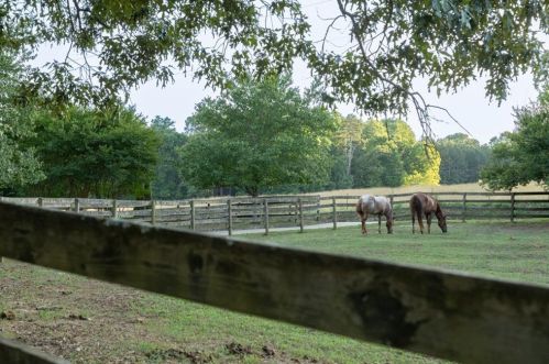 154 Grizzle Farm Rd, Dawsonville, GA 30534-6101