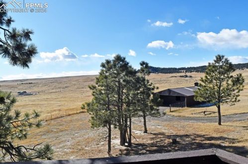 17175 Warriors Path Dr, Amo CO  80831-9352 exterior