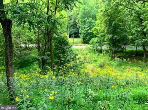190 Dove Hollow Rd, Baker, WV 26801-8248