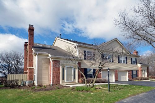 204 Cold Spring Ct, Palatine, IL 60067-7376