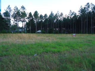 2991 Bartow Gibson Hwy, Donalsonville, GA 39845-6110