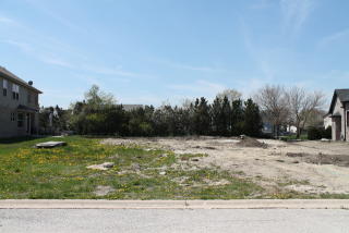 19620 Sophie Ct, Frankfort, IL 60423-8896