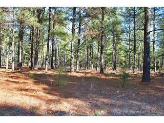 11651 Adventure Hill Ln, Chesterfield, VA 23838-1648