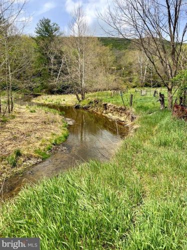 17789 Petersburg Pike, Upper Tract, WV 26866-5000