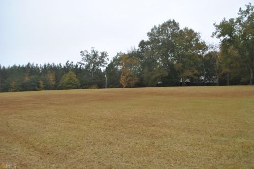 2253 Durand Hwy, Warm Springs, GA 31830-2517