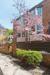 2049 Halsted St, Chicago, IL 60608-3448