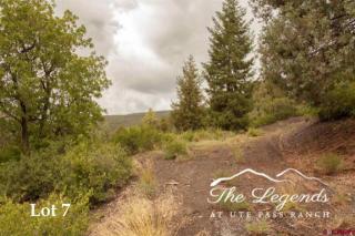 215 Legends Dr, Durango, CO 81301-6705
