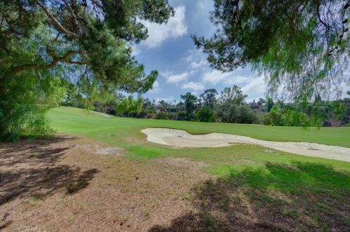 26746 Manzanares, San Juan Capistrano, CA 92691-5927