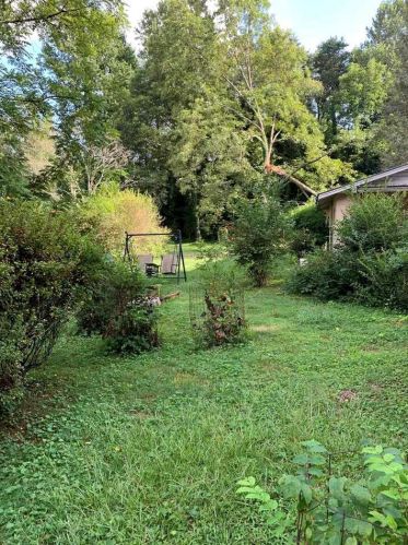 328 Boulevard St, Cleveland, GA 30528-1520