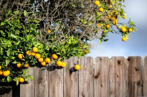 154 Monroe St, Oceanside, CA 92057-4420