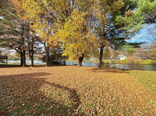 3148 Spring Lake Dr, Rockford, IL 61114-5533
