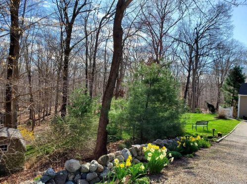 14 Dickinson Ct, Deep River, CT 06417-1556