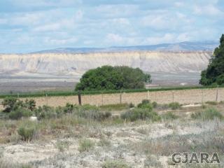 1730 Oasis Dr, Mack, CO 81525-8704