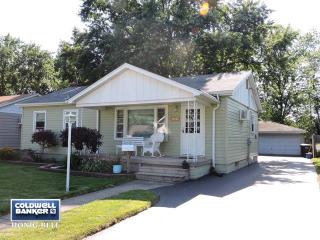 18422 School St, Lansing, IL 60438-2916