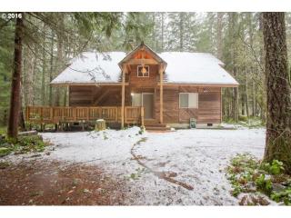 72667 Village Loop Rd, Rhododendron, OR 97049-9763