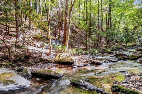 593 Goldmine Dr, Ellijay, GA 30536-0019
