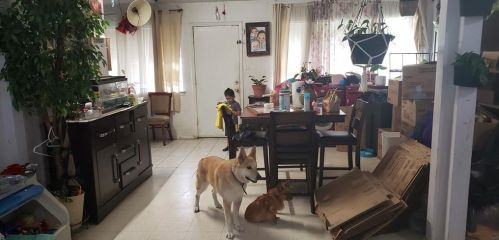 6910 Carwill Dr, Austin TX  78724-3604 exterior