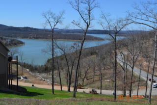 81 Pinnacle Shores Dr, Lampe, MO 65681
