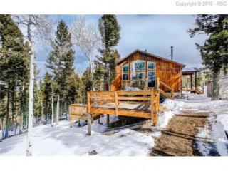 746 Trout Haven Rd, Twin Rock, CO 80816-9252