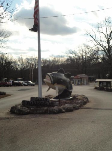 9409 Sunset Point Dr, Bonne Terre, MO 63628-8647