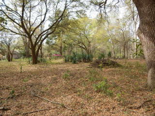 5648 Sands Rd, Meggett, SC 29449-5700