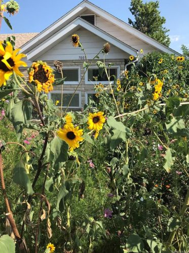 7001 52nd Ave, Arvada CO  80002-3701 exterior