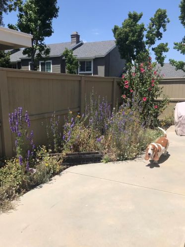 54 Timber Run, Irvine CA  92614-7959 exterior