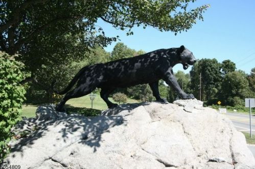 19 Green Heron Dr, Hackettstown NJ  07840-3300 exterior