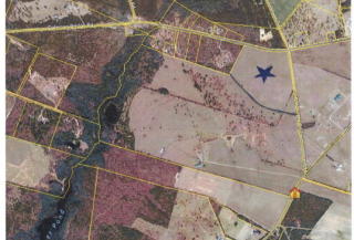 306 Burkelo Rd, New Holland, SC 29164-9602