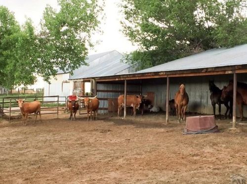 706 Avondale Blvd, Avondale CO 81022-8702 exterior