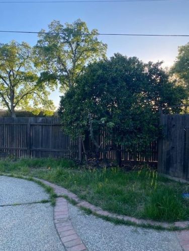 8500 Oak Harbour Ct, Fair Oaks, CA 95628-2971