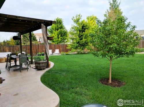 206 Windflower Way, Fort Collins CO  80550-6233 exterior