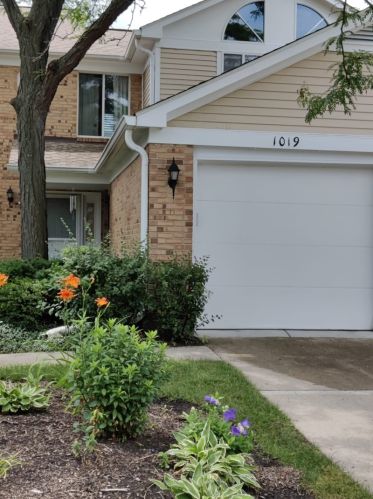 1019 Courtland Dr, Buffalo Grove, IL 60089-1186