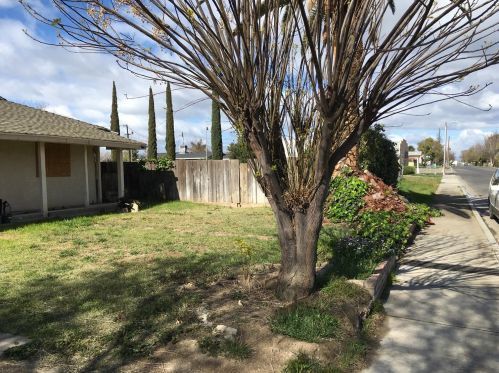 543 F St, Los Banos, CA 93635-3629