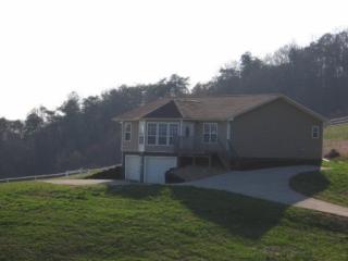 299 Franklin Estates Ln, Greenback, TN 37742-2476