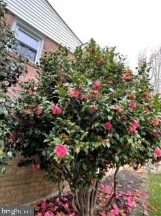 2904 Craiglawn Rd, Silver Spring MD 20904-1819 exterior