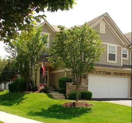 120 River Mist Dr, Oswego, IL 60543-8357
