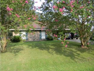 123 Elmira Dr, Slaughter, LA 70777-3301