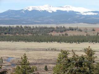 1462 Bonell Dr, Fairplay CO  80440-4010 exterior