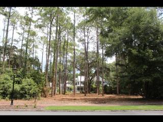 117 Stallings Island St, Bluffton, SC 29910-8362