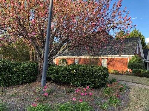 2025 Hickory Station Cir, Lithonia, GA 30078-6182