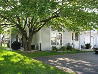 1225 Clematis Dr, Streamwood IL  60107-1855 exterior