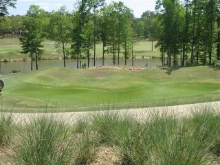 1021 Palmers Vw, Reynolds Plantation, GA 30642-6429