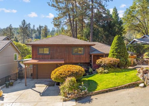 948 Bartlett Ave, Swansboro Country, CA 95667-6502