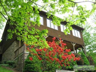 1600 Burnt School House Rd, Fig, NC 28615-9042