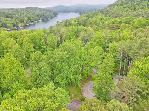 50 Parker Hollifield Rd, Tiger, GA 30576-1504