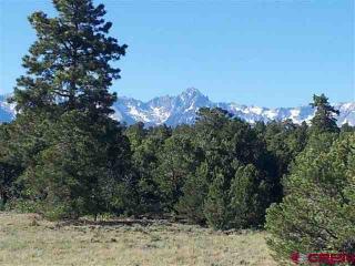 194 Fisher Canyon Dr, Ridgway, CO 81432-8956