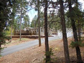 208 Gerka Ln, Twin Rock, CO 80816-9441