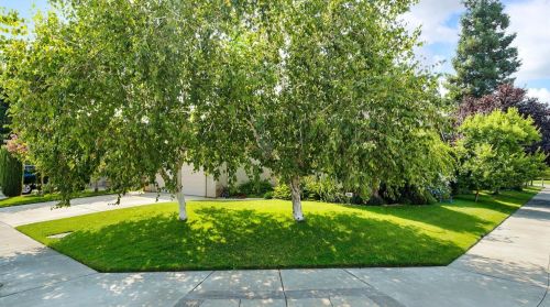 206 Hartford Dr, Lodi, CA 95240-7895