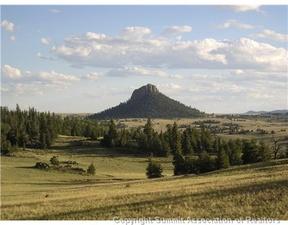 956 Willow Way, Fairplay, CO 80456-0407